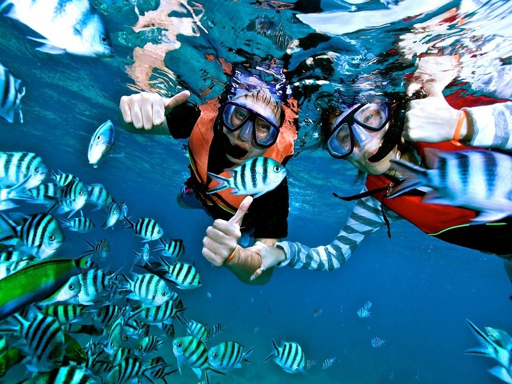 Menyelam Snorkeling Bersama Keluarga: Spot Aman dan Persiapan untuk Pemula